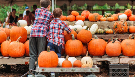 Two kids in plaid shirts with a wagon picking from a row of pumpkins.
