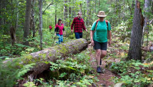 Hiking on trails at Samuel de Champlain Provincial Park