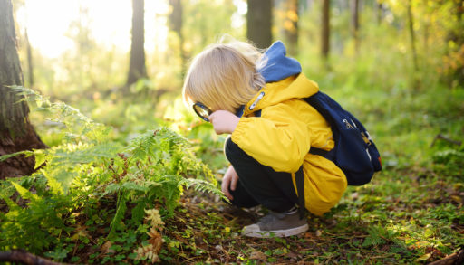 A boy explores the outdoors in the summer with a magnifying glass
