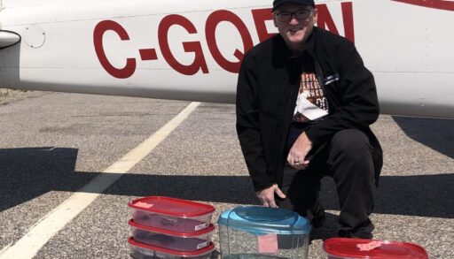 a man kneels in front of a plane with containers of turtles to be taxied in front of him