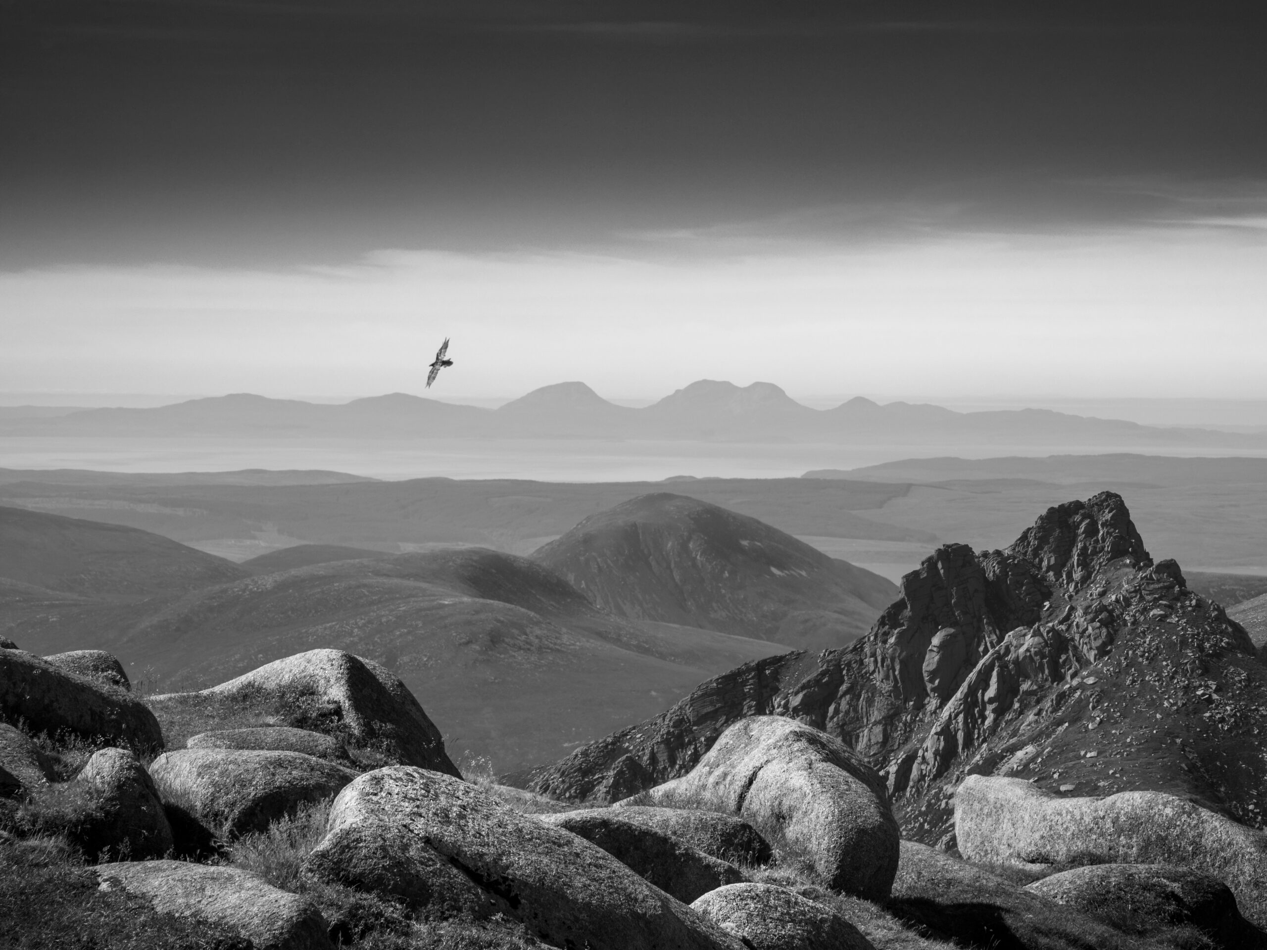 a raven soars over a black and white misty landscape with mountains in the distance and boulders up close