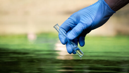 A blue-gloved hand holds a vial of water over green-tinted water.